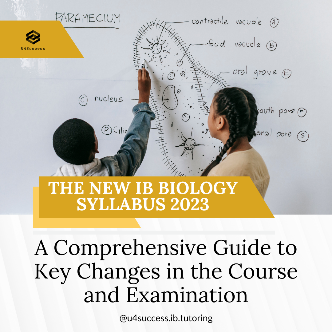 The New IB Biology Syllabus 2023: A Comprehensive Guide - U4Success ...